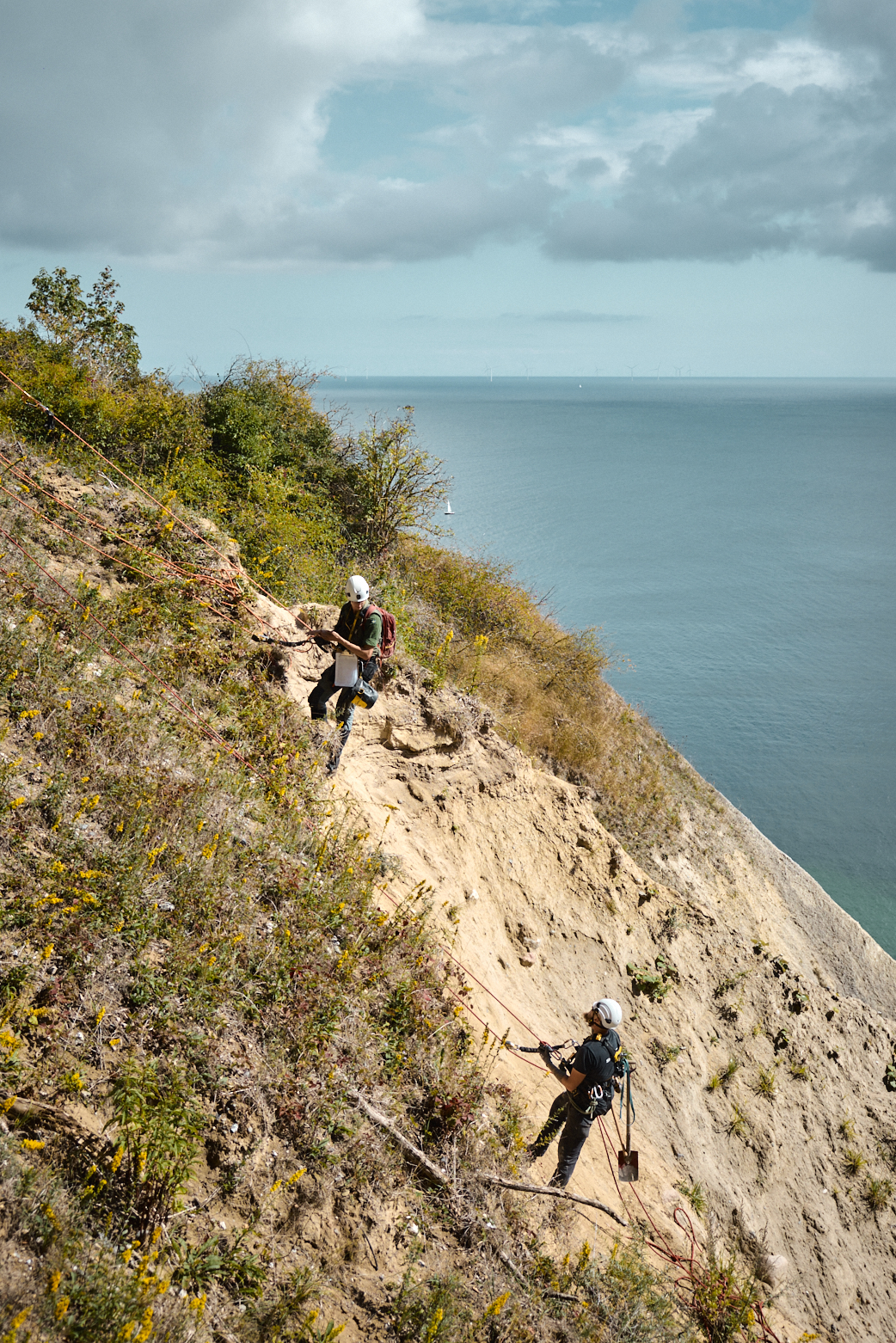 Erhvervsklatrer og geologi studerende på Møns Klint